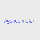 Agence immobiliere Agence molar